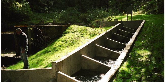 a water trough with a few steps