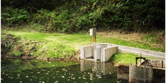 a small pond with a dam