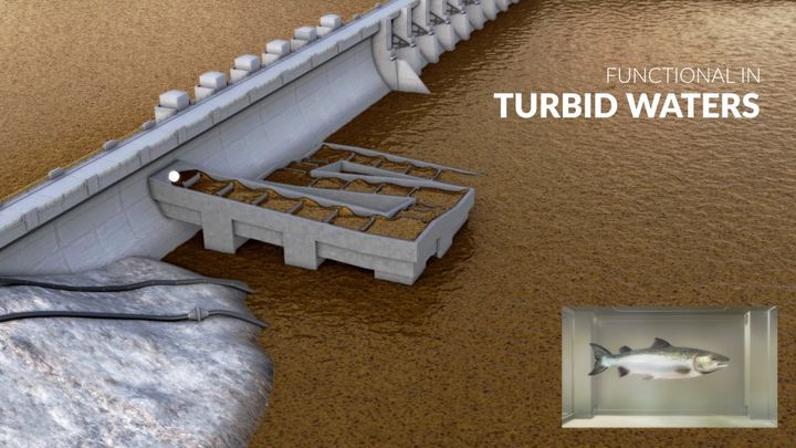 functional in turbid waters