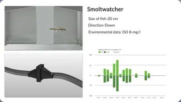 riverwatcher smolt (plc)