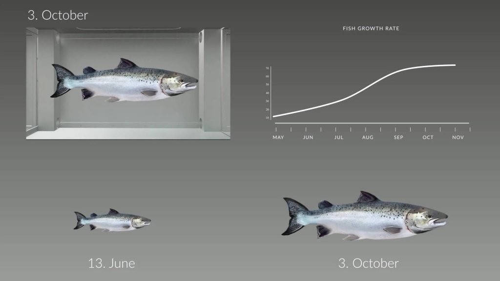 fish growth rate